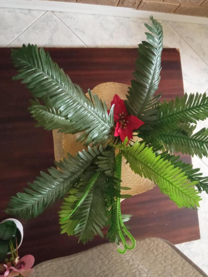 B&B Cleopatra Скалея Экстерьер фото